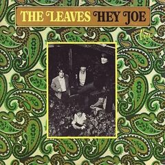 The Leaves – Hey Joe