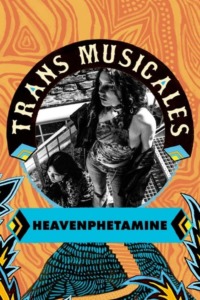Heavenphetamine en concert aux Trans Musicales de Rennes 2023