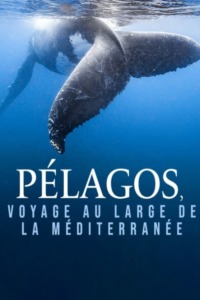 Pélagos voyage au large de la Méditerranée