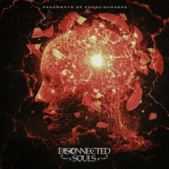 Disconnected Souls – Fragments Of Consciousness