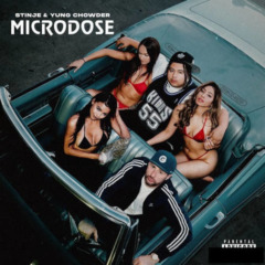Stinje & Yung Chowder – Microdose