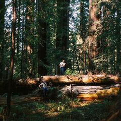 Caye – Redwood Sessions 