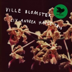 Liv Andrea Hauge Trio – Ville Blomster