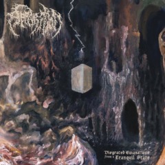 Apparition – Disgraced Emanations From A Tranquil State