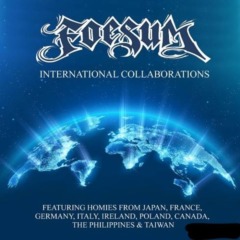 Foesum – International Collaborations