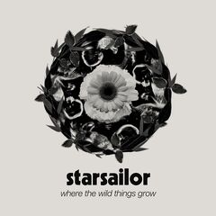 Starsailor – Where The Wild Things Grow