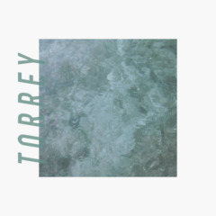 Torrey – Torrey