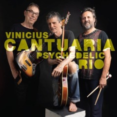 Vinicius Cantuaria – Psychedelic Rio