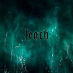 Leach – New Model Of Disbelief 
