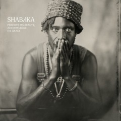 Shabaka – Perceive Its Beauty, Acknowledge Its Grace