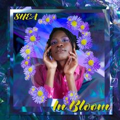 Shea – In Bloom