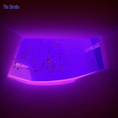 The Shrubs – Echoes Of A Dream